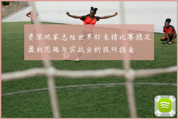 资深玩家总结世界杯竞猜比赛稳定盈利思路与实战分析技巧指南 ⚽