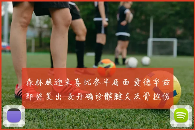 森林狼迎来喜忧参半局面 爱德华兹即将复出 麦丹确诊髌腱炎及骨挫伤