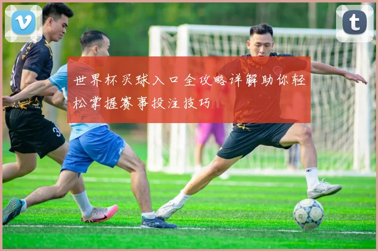 世界杯买球入口全攻略详解助你轻松掌握赛事投注技巧