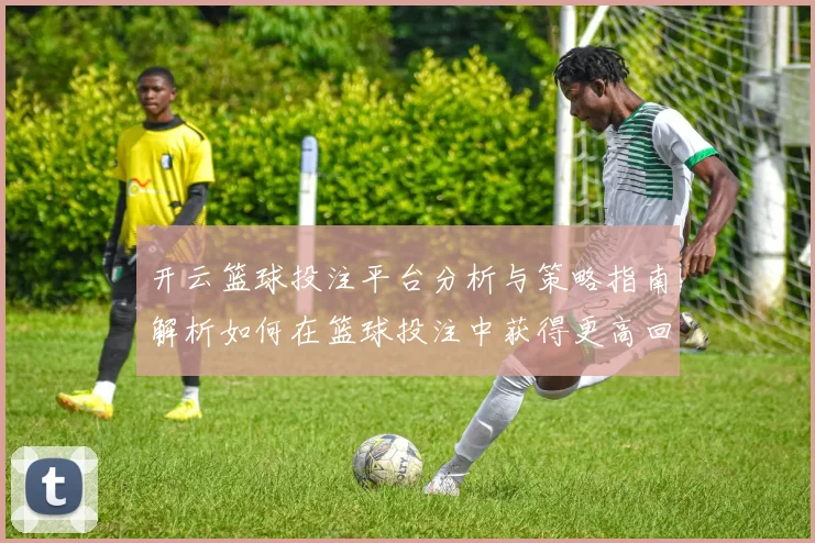 开云篮球投注平台分析与策略指南解析如何在篮球投注中获得更高回报