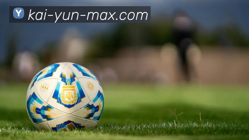 开云平台展示图