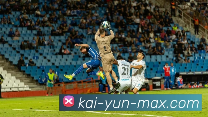 开云官网最新入口全面解析与安全访问指南助你畅享便捷体验